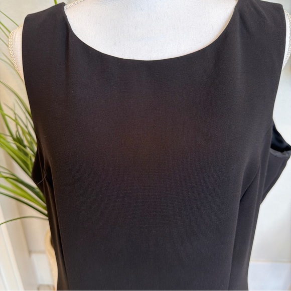 Elegant Black Sleeveless Dress by Tahari - Picture 11 of 11